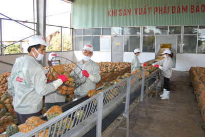 Doanh nghiệp cần làm gì để đẩy mạnh xuất khẩu nông sản sang Trung Quốc?