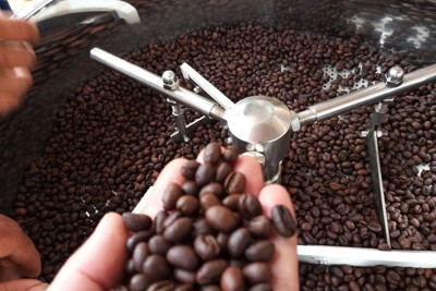 Giá cà phê hôm nay 11/2: 2 sàn cùng tăng, trong nước cán mốc 44.000 đồng/kg