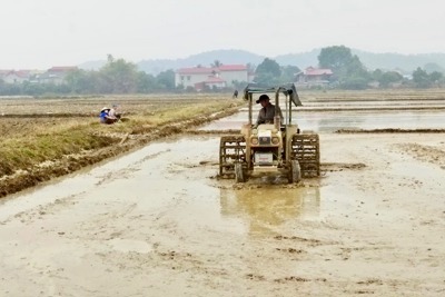 Hà Nội chưa lấy đủ nước vụ Xuân, Bộ NN&PTNT đề nghị khẩn EVN