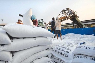 Doanh nghiệp làm gì để xuất khẩu gạo sang Trung Quốc thuận lợi?