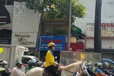 Xử phạt người đàn ông cưỡi ngựa đi vào phần đường của xe cơ giới