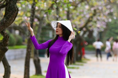 Những địa điểm check-in, chụp ảnh cùng hoa ban đẹp nhất tại Thủ đô Hà Nội