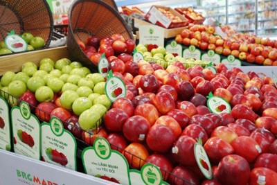 Rộn ràng mua sắm tại Lễ hội táo Washington siêu thị BRGMart 2023