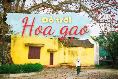 Truyện ngắn "Đỏ trời hoa gạo"