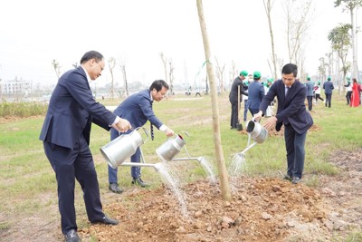 1.100 cây xanh được trồng tại TP Bắc Giang