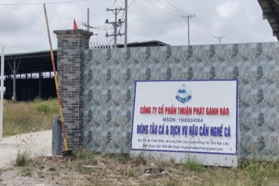 Bạc Liêu: Chủ tịch UBND tỉnh chỉ đạo nóng “Dự án đóng tàu cá ra điện”