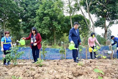 Quận Hoàn Kiếm: Phát động Tết trồng cây và ra quân đội hình 3+