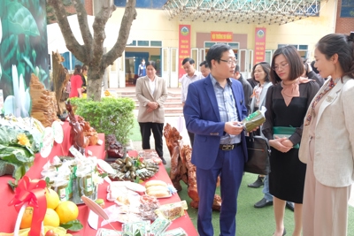 Hà Nội thẩm định nông thôn mới nâng cao tại 3 xã của huyện Sóc Sơn
