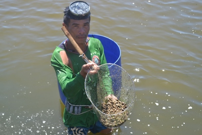 Dịch bệnh bủa vây nhiều vùng nuôi trồng thủy sản 