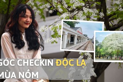 Những góc chụp ảnh đẹp lạ trong mùa nồm ẩm ở Hà Nội