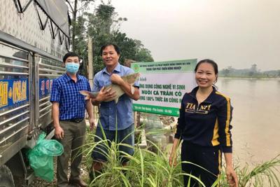 Dự án hỗ trợ mua cá giống ở xã Tri Trung đem lại hiệu quả cao