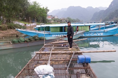 Quảng Bình: Nuôi cá “đặc sản” ở di sản Phong Nha – Kẻ Bàng