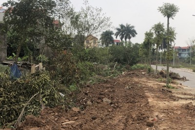 Huyện Gia Lâm: Chuẩn bị cưỡng chế GPMB khu đất đấu giá tại xã Phù Đổng