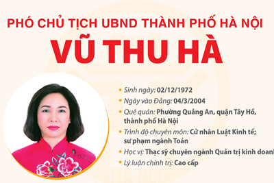 Chân dung tân Phó Chủ tịch UBND TP Hà Nội Vũ Thu Hà