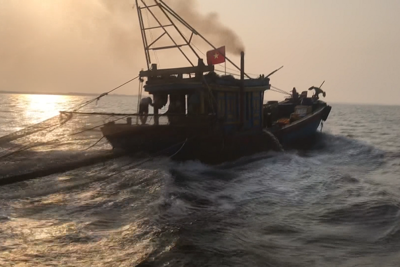 Hà Tĩnh: Quyết liệt đấu tranh, ngăn chặn tàu giã cào vụ cá Nam