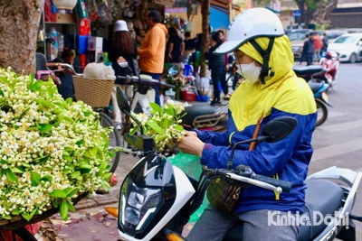 Dự báo thời tiết ngày 14/3/2023: Hà Nội không mưa, đêm và sáng trời rét