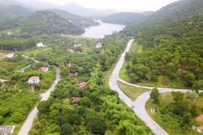 Hà Nội: Thu hồi rừng do vi phạm Luật Đất đai tại huyện Sóc Sơn