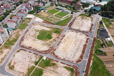 Hà Nội: Đấu giá 29 thửa đất, khởi điểm 16,5 triệu đồng/m2 tại huyện Mỹ Đức