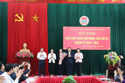 Bà Lê Thị Thanh Nhàn giữ chức Phó Chủ tịch Hội Nông dân TP Hà Nội