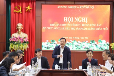 Hà Nội đẩy mạnh hợp tác công tư tạo đột phá trong ngành chăn nuôi 
