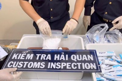 4 tiếp viên hàng không mang ma túy từ Pháp về Việt Nam bằng cách nào?
