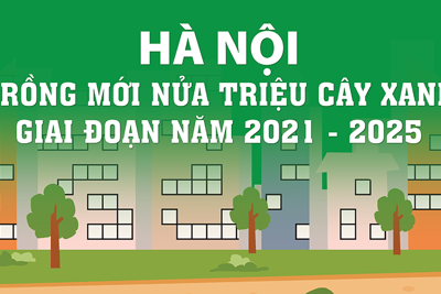 Hà Nội lên kế hoạch trồng mới nửa triệu cây giai đoạn năm 2021-2025