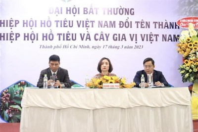 Bà Hoàng Thị Liên giữ chức Chủ tịch Hiệp hội Hồ tiêu và cây gia vị Việt Nam