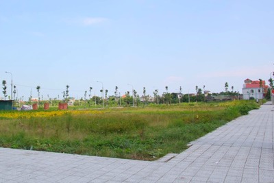 Giá khởi điểm từ 45 triệu đồng/m2 đất đấu giá tại huyện Sóc Sơn