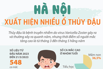 Hà Nội: Xuất hiện nhiều ổ thủy đậu