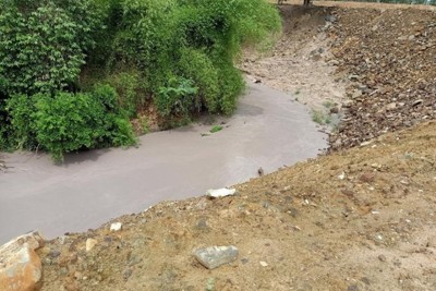 Đồng Nai: Xử phạt và đình chỉ một công ty gây ô nhiễm nước sông Buông