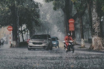 Dự báo thời tiết ngày 26/3/2023: Hà Nội mưa to, trời lạnh, gió giật mạnh