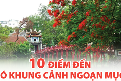Ngoài Hà Nội, Việt Nam còn 10 điểm đến đẹp ngoạn mục