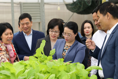 Giám sát việc thực hiện chính sách phát triển nông nghiệp tại huyện Gia Lâm