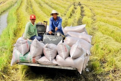 Lần đầu tiên tổ chức giải báo chí viết về “nông nghiệp, nông dân, nông thôn”