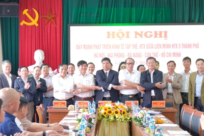 Hà Nội “bắt tay” 4 thành phố lớn đẩy mạnh phát triển hợp tác xã