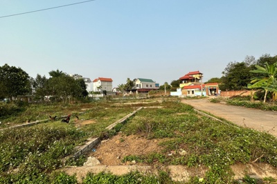 Đấu giá 37 thửa đất tại huyện Thạch Thất, khởi điểm cao nhất 6,8 tỷ đồng/lô