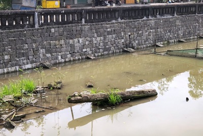 Ngổn ngang quanh di tích Thành cổ Quảng Trị