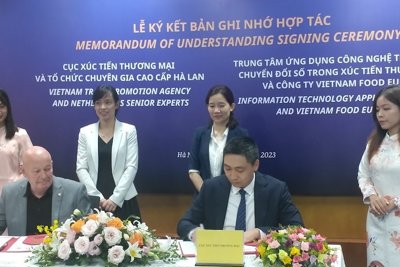 Độ mở cho doanh nghiệp Việt ra thế giới