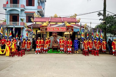 Quảng Bình: "Linh thiêng" nghĩa địa Cá voi ở làng biển Cảnh Dương