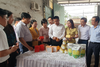 Hà Nội - Hưng Yên: Trao đổi kinh nghiệm phát triển nông nghiệp, nông thôn