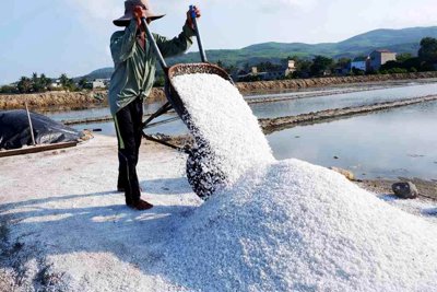 Cơ hội "vàng" cho làng muối Sa Huỳnh