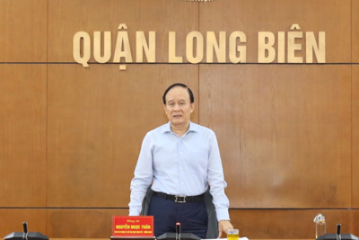 Hà Nội: Kiểm tra thực hiện kết luận thanh tra, kiểm toán tại quận Long Biên