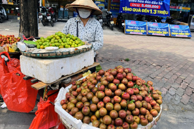 Mơ mận đầu mùa giá cao vẫn đắt khách