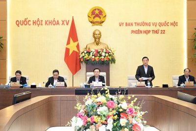 Đề nghị làm rõ hơn về các “chuyến bay giải cứu”, kit xét nghiệm Việt Á