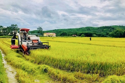 Nhìn lại kinh tế huyện Sóc Sơn sau nửa nhiệm kỳ Đại hội Đảng khoá XII