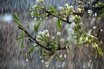 Dự báo thời tiết ngày 15/4/2023: Hà Nội mưa to, gió đông bắc cấp 2-3