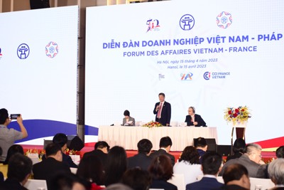 "Kinh tế Việt Nam-Pháp có sự bổ trợ lẫn nhau, nhiều tiềm năng hợp tác"