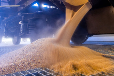 EU “nổi giận” khi 2 nước thành viên đơn phương cấm vận ngũ cốc Ukraine