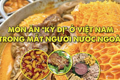 Top món ăn “kỳ dị” ở Việt Nam trong mắt người nước ngoài