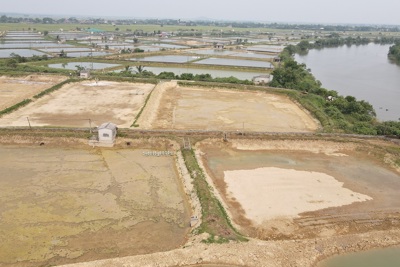 Quảng Trị: Nguồn nước nghi ô nhiễm, cả nghìn hộ nuôi tôm đứng ngồi không yên